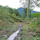 normal_18082011eschenwm2aktivnews_08.jpg