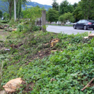 normal_18082011eschenwm2aktivnews_11.jpg