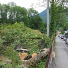 normal_18082011eschenwm2aktivnews_15.jpg