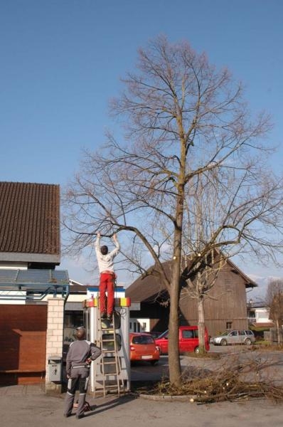 dorfplatz12.jpg