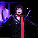 Jazz Fest Wien: Liza Minelli 