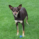 Agility  EM 2011 027_jpg-1311066950