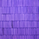 PC020525.JPG