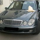 13 Drogendealer festgenommen