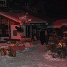 DSC_0040.JPG