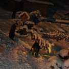 DSC_0047.JPG