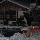 DSC_0054.JPG