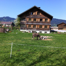 IMG_0392_JPG-1311091891