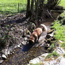 IMG_0401_JPG-1311091907