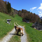 IMG_0412_JPG-1311091932