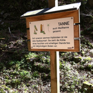 IMG_0421_JPG-1311091950