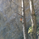 IMG_0423_JPG-1311091956
