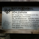 IMG_0427_JPG-1311091964