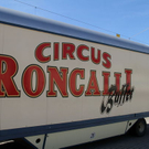 normal_19072011fmt_circus_fm_17.jpg