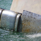 111_8099_JPG-1311097805