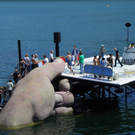 112_0536_JPG-1311114710