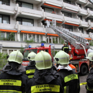 normal_20072011brandffaktivnews_37.jpg