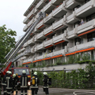 normal_20072011brandffaktivnews_75.jpg