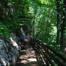 normal_1972011marktberchtesgadenaktivnewshs017.jpg