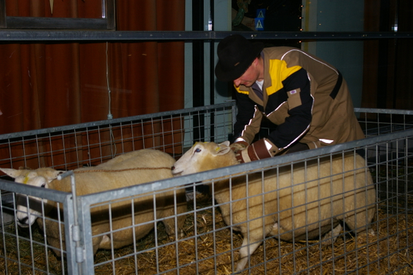 bea_Krippenbauverein Satteins 009.jpg