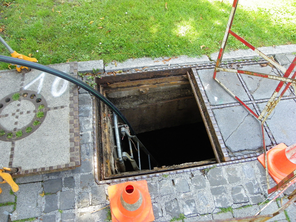 111_5000_JPG-1311167184