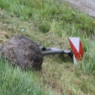 normal_20072011lkwkrachenineinanderff2aktivnews_5.jpg