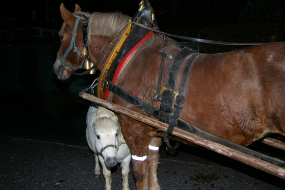 bea_Krippenbauverein Satteins 064.jpg