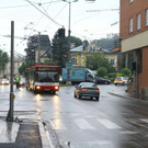 normal_21072011fmt_ampeln_ta_013.jpg