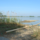 Pf__hle H__rnle 2_JPG-1311231233