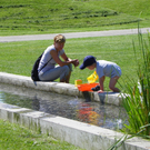 111_9540_JPG-1311250339