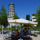 111_9548_JPG-1311250367