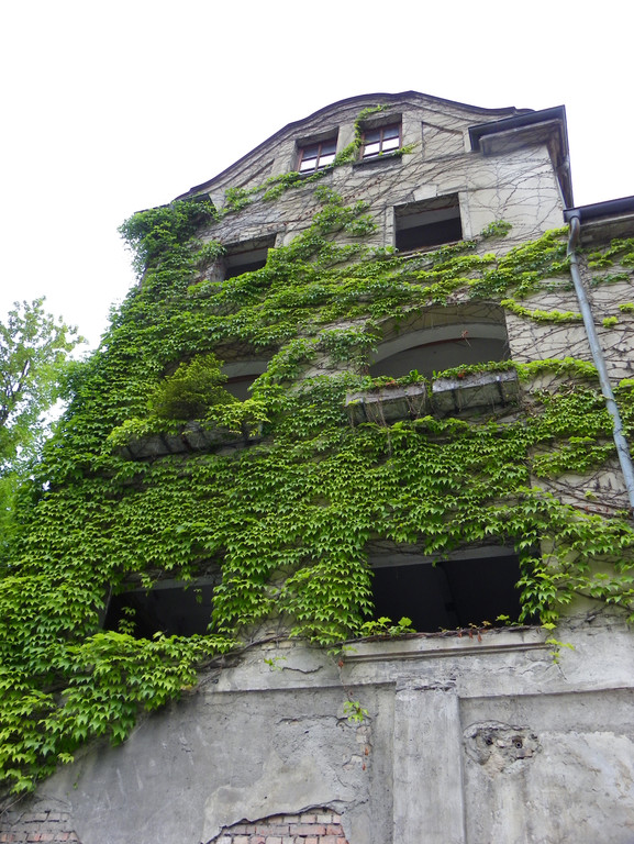 6_6_11 198_jpg-1311262815