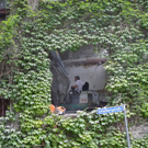 111_4950_JPG-1311262999