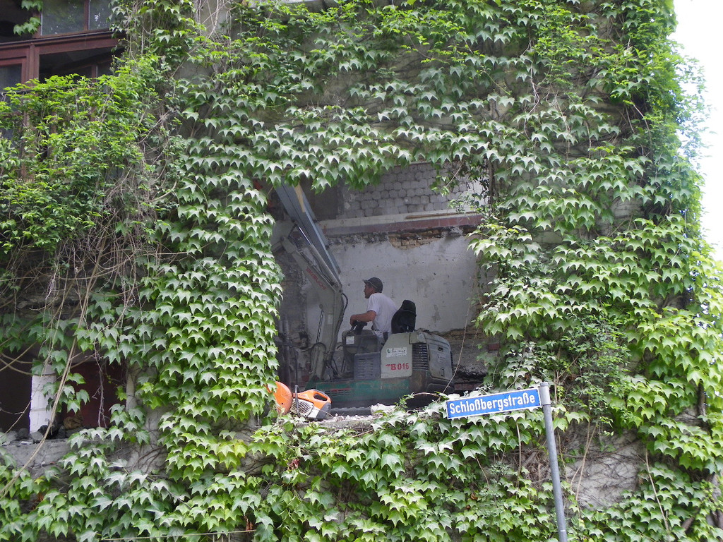 111_4950_JPG-1311262999