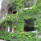 6_6_11 204_jpg-1311262857