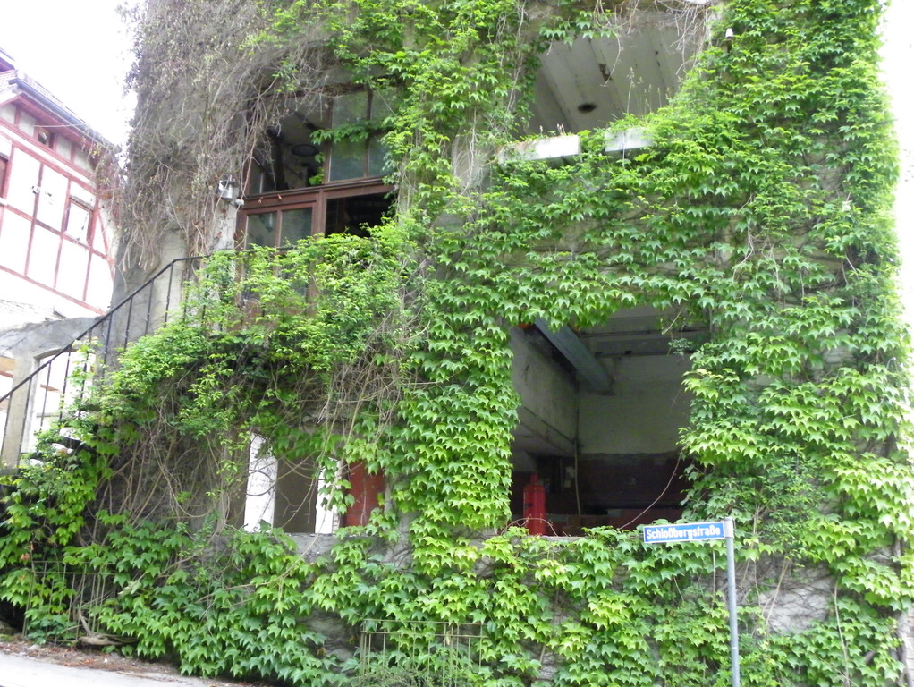 6_6_11 204_jpg-1311262857