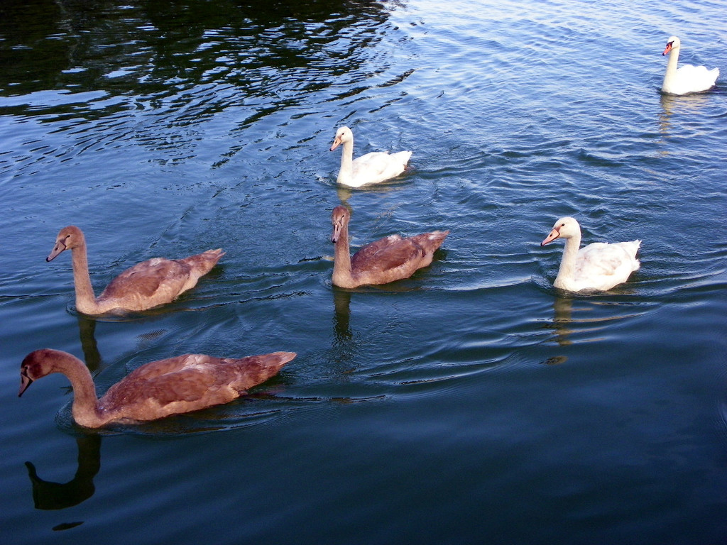 104_7576_jpg-1311284417