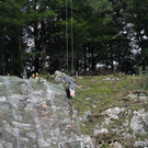 normal_21072011adnetffaktivnews_12.jpg