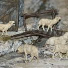 Tolle Details.JPG