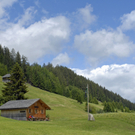 361_bearbeitet-1_jpg-1311389965