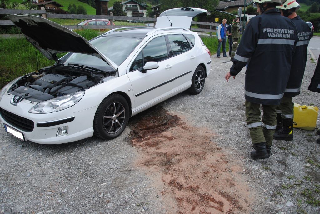normal_220711fahrzeugbrandsfaktivnews006.jpg