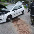 normal_220711fahrzeugbrandsfaktivnews006.jpg