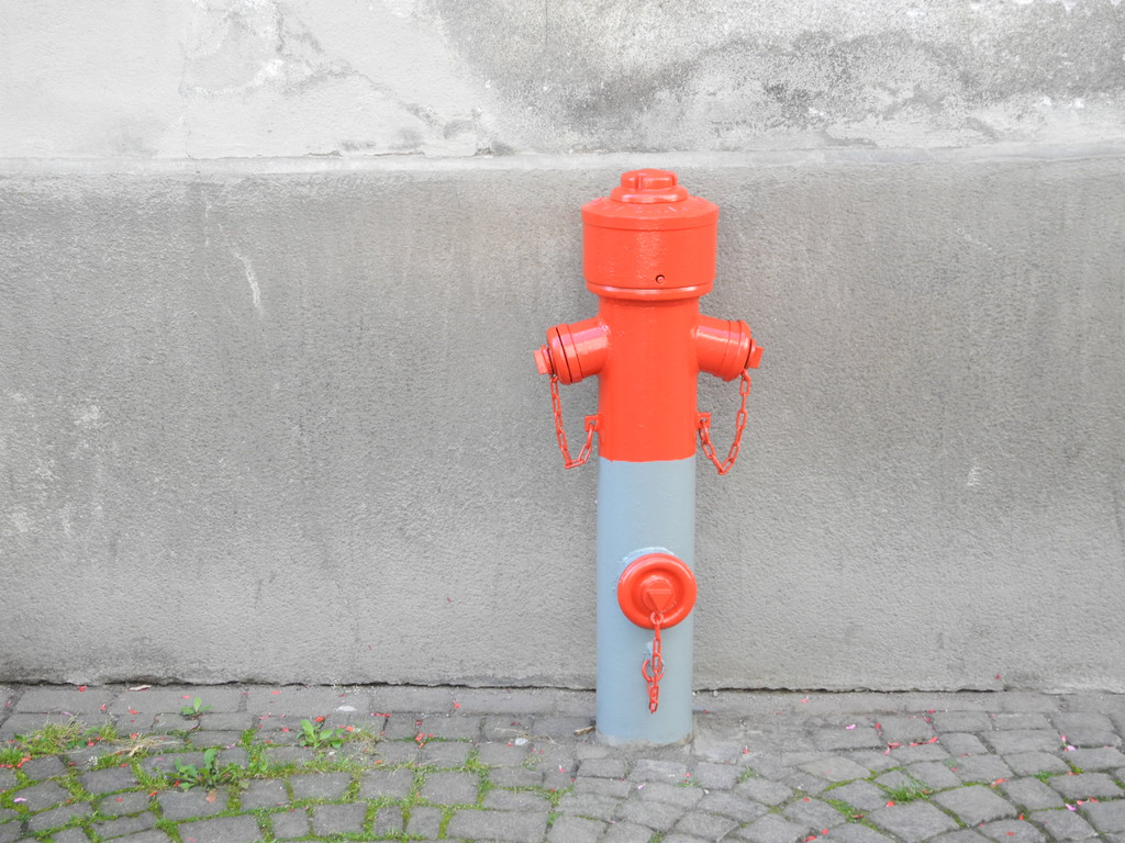 DSCN0440_JPG-1311409233