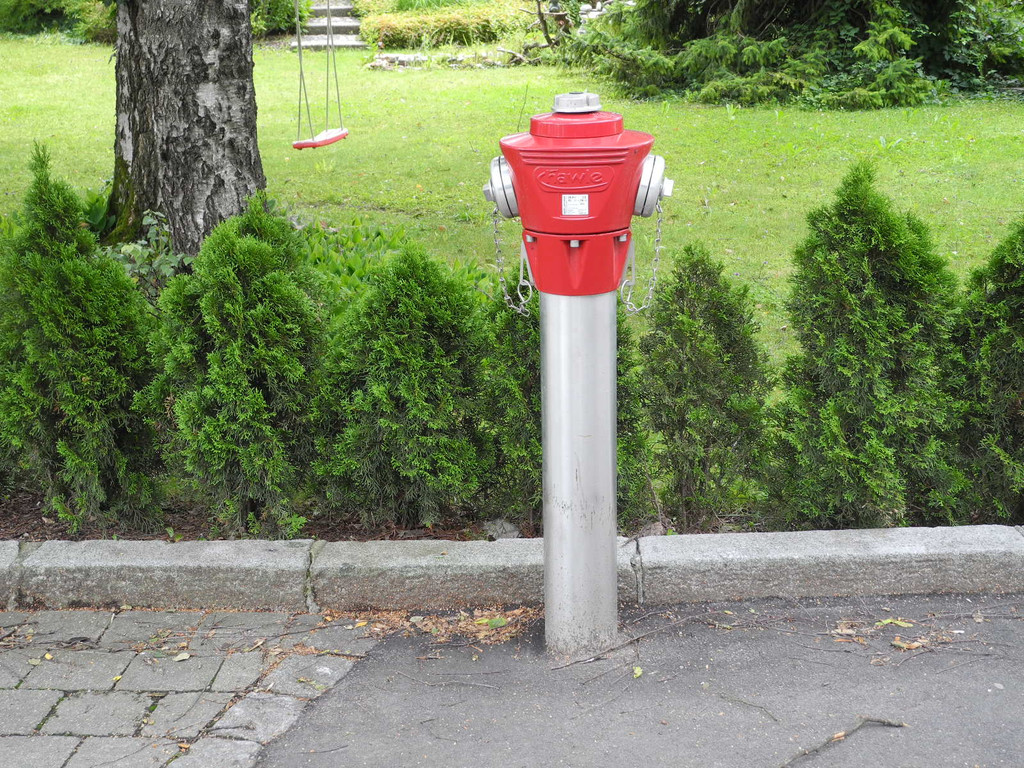 DSCN0530_JPG-1311409252