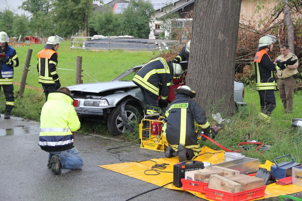 normal_23072011wtsoldatgegenbaumaktivnews10.jpg