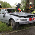 normal_23072011wtsoldatgegenbaumaktivnews15.jpg