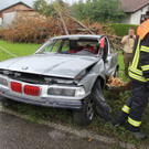 normal_23072011wtsoldatgegenbaumaktivnews18.jpg