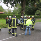 normal_23072011wtsoldatgegenbaumaktivnews48.jpg