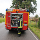 normal_23072011wtsoldatgegenbaumaktivnews65.jpg