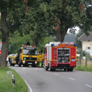 normal_23072011wtsoldatgegenbaumaktivnews67.jpg